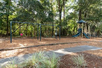Large Outdoor Playground